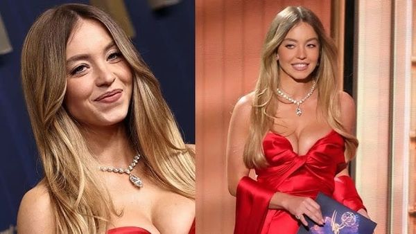 ബോളിവുഡിലെ ഏറ്റവും ചെലവേറിയ സിനിമ, നായികയാവാൻ സിഡ്നി സ്വീനിക്ക് വാ​ഗ്ദാനം ചെയ്തത് 530 കോടി രൂപ !