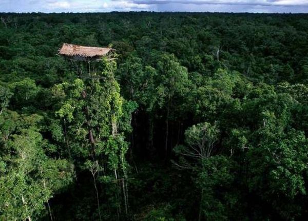 ആകാശംമുട്ടെ ഉയരങ്ങളില്‍ വിചിത്രവീടുകള്‍ നിര്‍മ്മിക്കുന്ന കൊറൊവാകള്‍