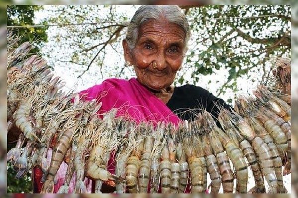 യുട്യൂബിലെ പാചകറാണി അമ്മുമ്മ വിടപറഞ്ഞു