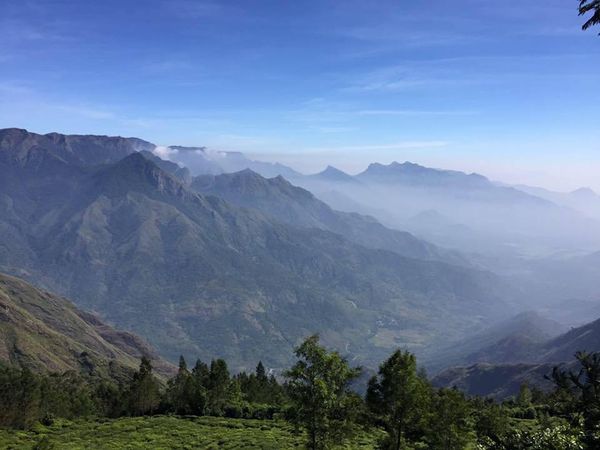 മൂന്നാർ എന്ന ഭൂമിയിലെ സ്വർഗത്തിലേക്ക്!