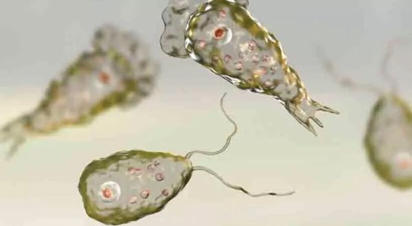 ആലപ്പുഴയിൽ വീണ്ടും അമീബിക്ക് മസ്തിഷ്ക ജ്വരം, പതിനഞ്ചുകാരൻ മരിച്ചു