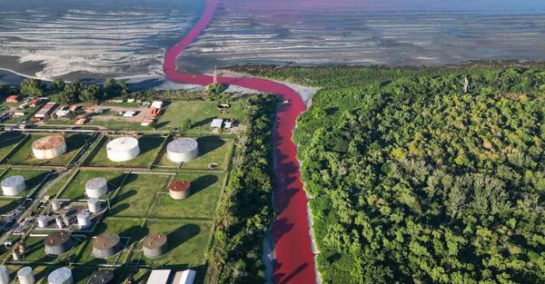 ശക്തമായ ദുർഗന്ധം, പിന്നാലെ ജലം മുഴുവൻ ചുവപ്പായി; അർജന്റീനയിലെ നദിയുടെ നിറം മാറിയതിൽ ആശങ്ക – വിഡിയോ