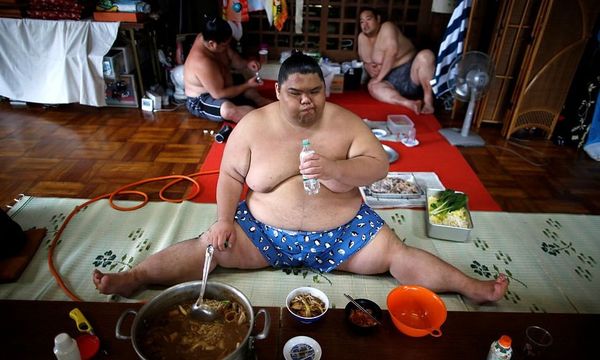 സുമോ ഗുസ്തിക്കാരുടെ ജീവിതം അത്ര ലളിതമല്ല; നമ്മള്‍ കാണുന്നതില്‍ അപ്പുറം സുമോ ഗുസ്തിക്കാരുടെ ജീവിതത്തെ കുറിച്ചു അറിയാത്ത ചില രഹസ്യങ്ങള്‍