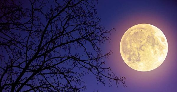 ഇരുപത്തിയൊന്നാം നൂറ്റാണ്ടിലെ ഏറ്റവും ദൈര്‍ഘ്യമേറിയ ചന്ദ്രഗ്രഹണം ഇന്ന്; ഭൂമിയില്‍ ചില മാറ്റങ്ങള്‍ക്ക് കാരണമായേക്കുമെന്നു മുന്നറിയിപ്പ്