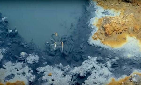 കടലിനടിയില്‍  3300 അടി താഴ്ചയില്‍ ഒരു തടകം; മനുഷ്യന്‍ ഇവിടേയ്ക്ക് നീന്തിച്ചെന്നാൽ ആ നിമിഷം മരിക്കും