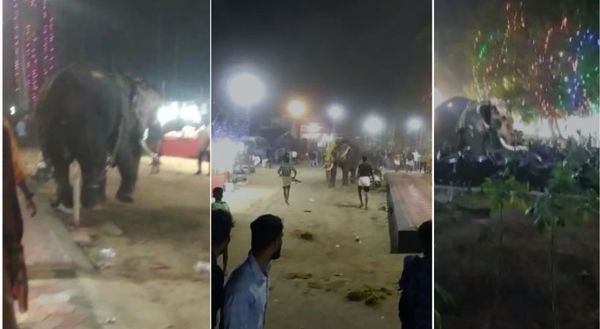 അയിരൂരില്‍ ഉത്സവത്തിനിടെ തിടമ്പേറ്റിയ ആന വിരണ്ടോടി; ഒരാള്‍ക്ക് പരുക്ക്