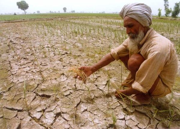 India Warns of Weakest Monsoon in 11 Years as El Niño Threatens Agriculture and Food Prices