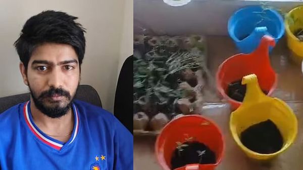 കഞ്ചാവ് അരച്ച് ചട്ണിയുണ്ടാക്കും, പാലിൽ ചേർത്ത് കുടിക്കും; ടെക്നോപാർ‌ക്കിലെ ഐടി മാനേജർ അറസ്റ്റിൽ