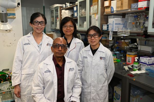 NUS study identifies potential ‘master switch’ in aggressive breast cancer
