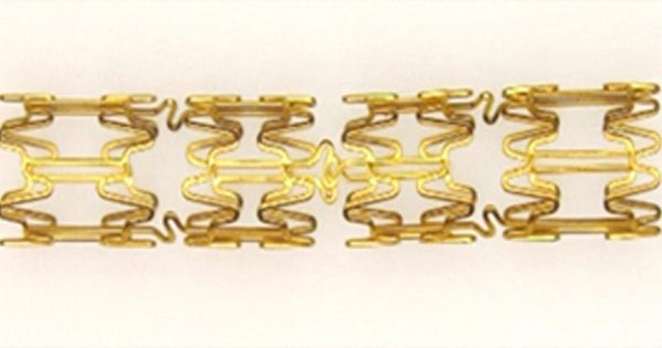 SCTIMST, Invasive Technologies unveil indigenously developed coronary stent 'Chitra Core'