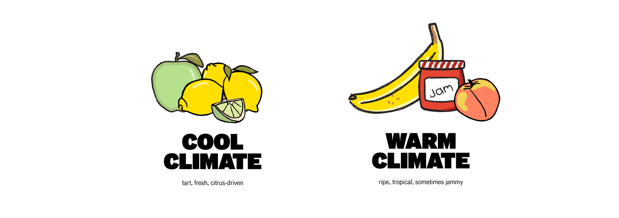 cool and warm climate