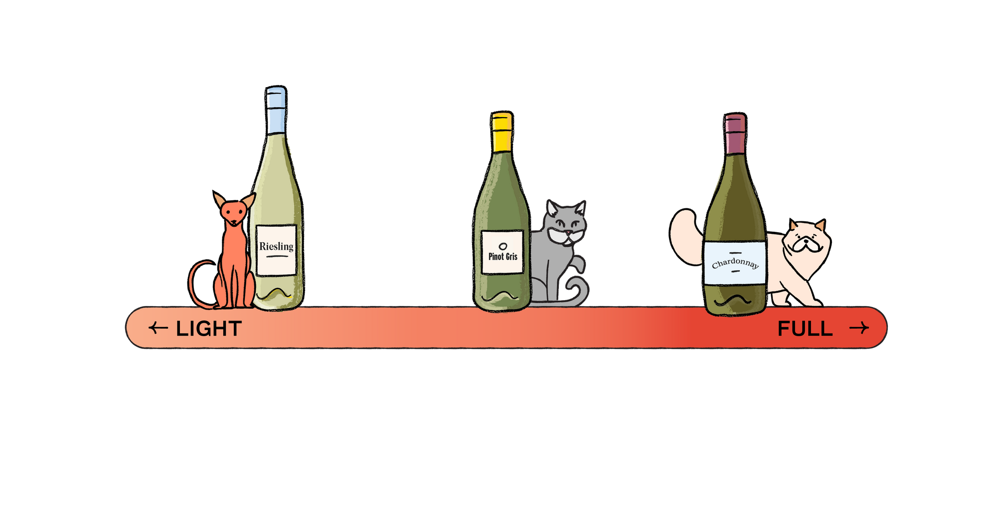 light and full body wine scale