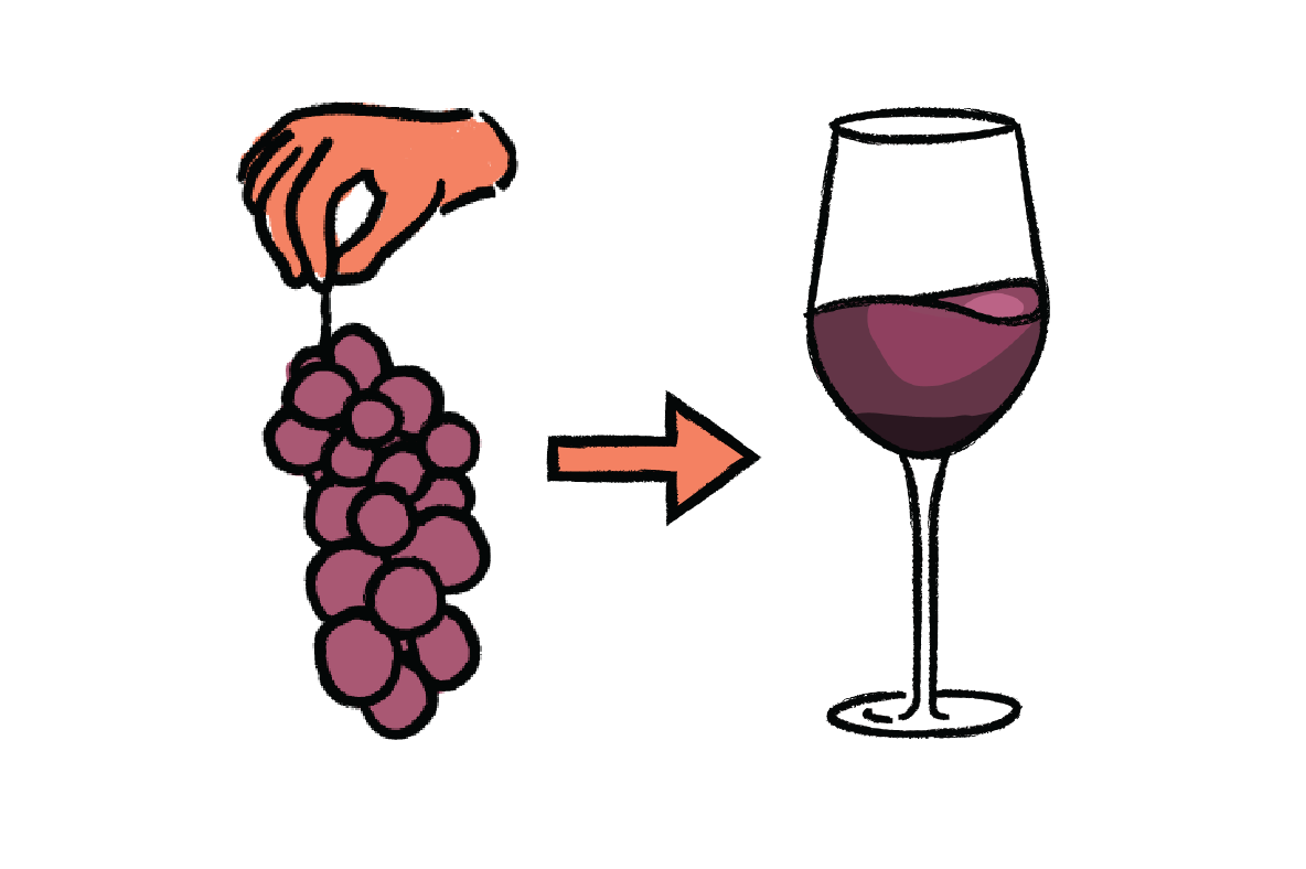 How Wine is Made