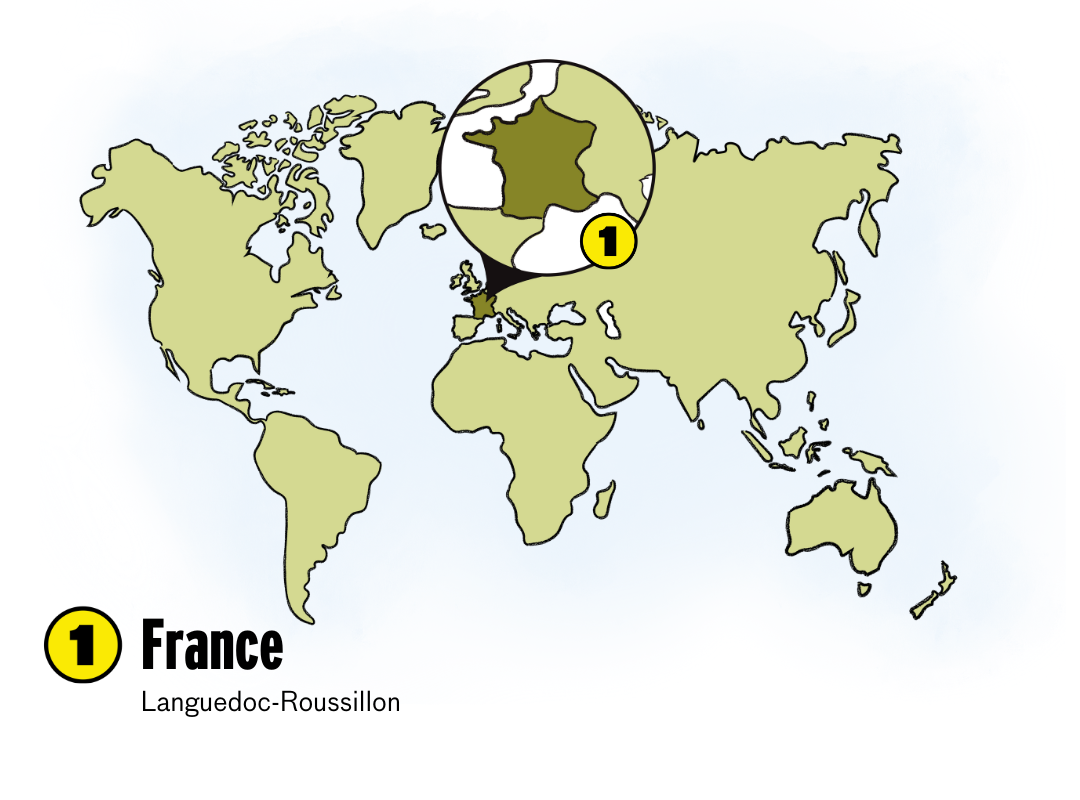 Albarino wine regions map