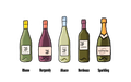 Wine Bottle Shapes