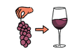 How Wine is Made