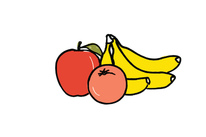 Main Characteristics