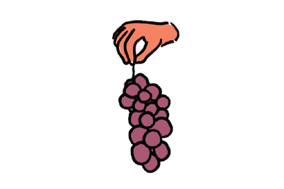 Red Grape Types