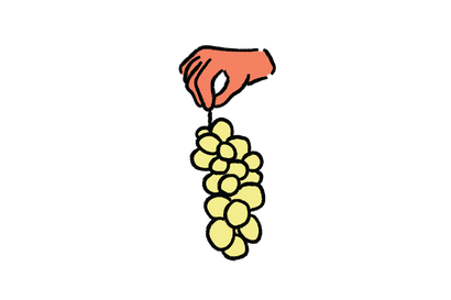 White Grape Types