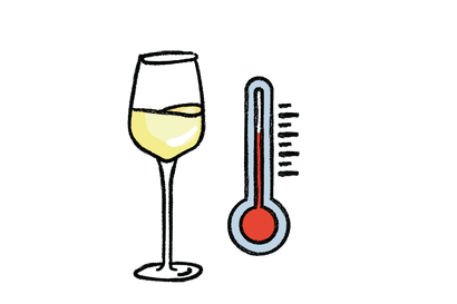 Wine Drinking Temperatures