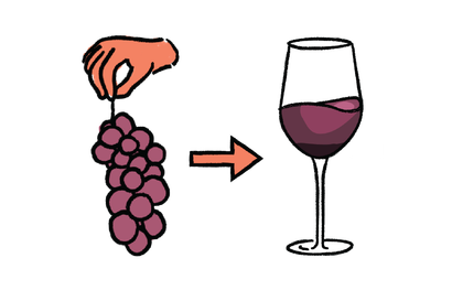 How Wine is Made