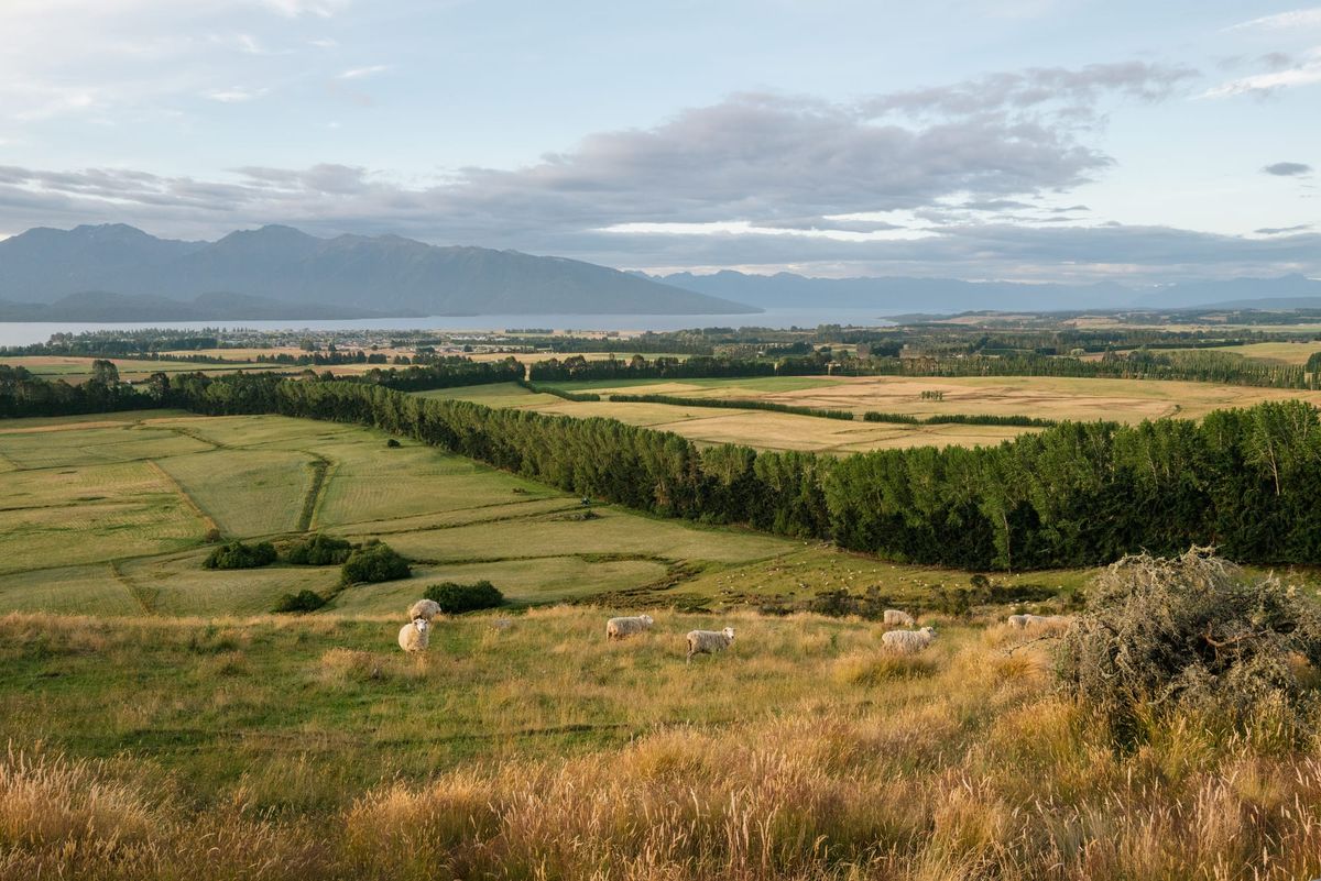 10 Days to New Zealand South Island