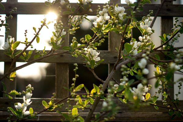 The rhythms of life...