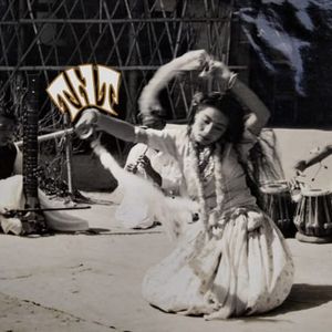 The Truth About Lies (and Why Your Brain Loves Them)