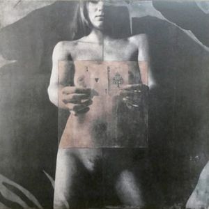 Not the Actual Artwork