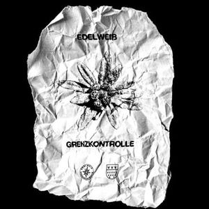 The Neue Neue Deutsche Welle