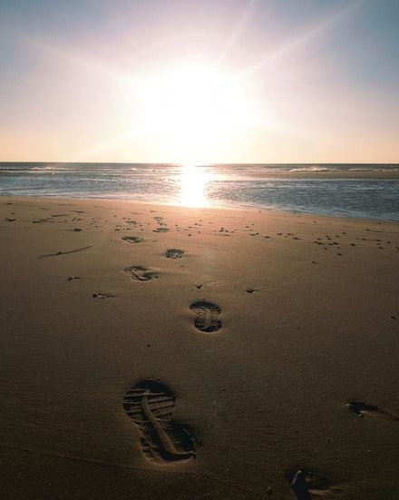 carbon footprint