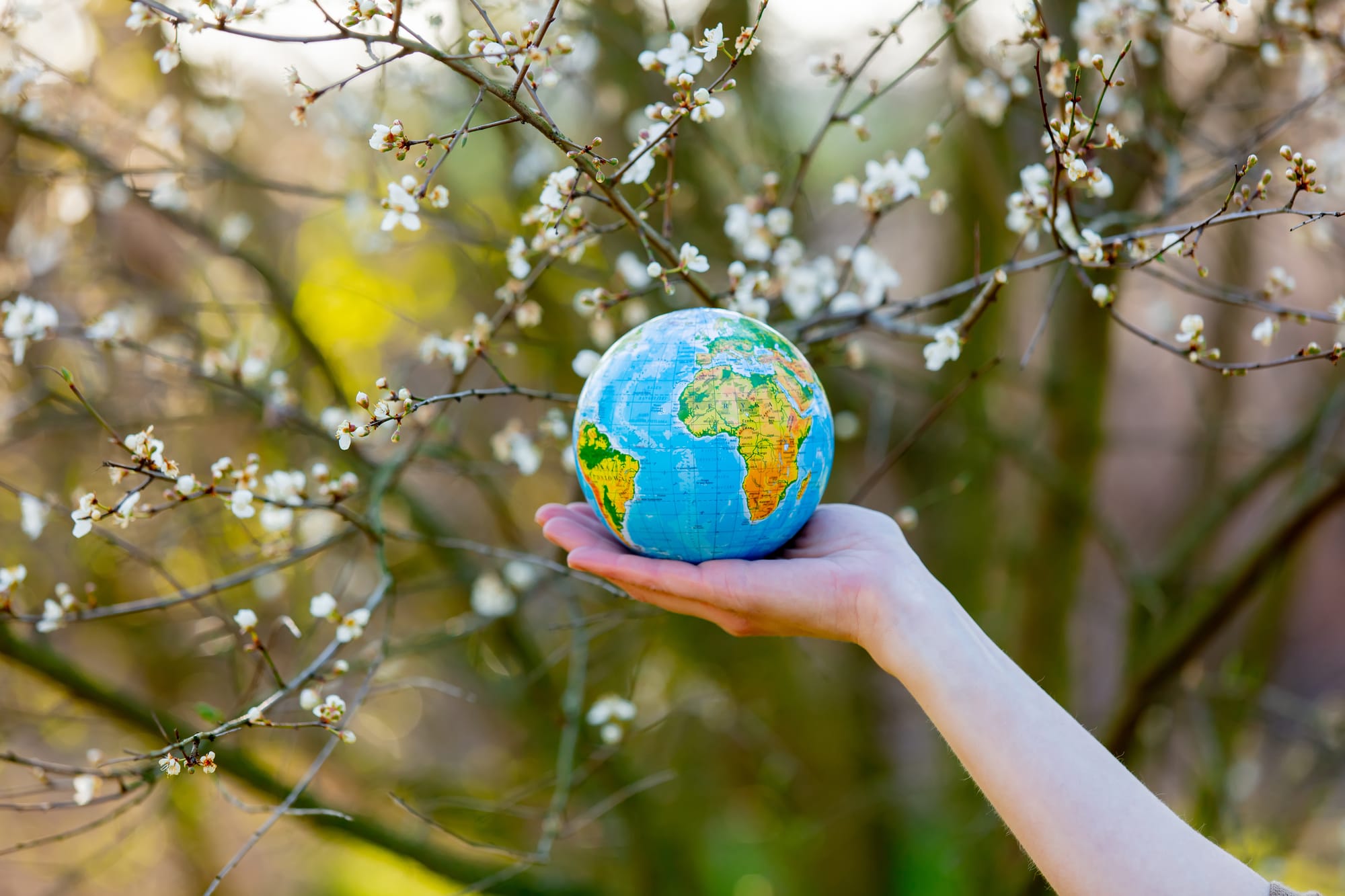hand holding mini "world" outside
