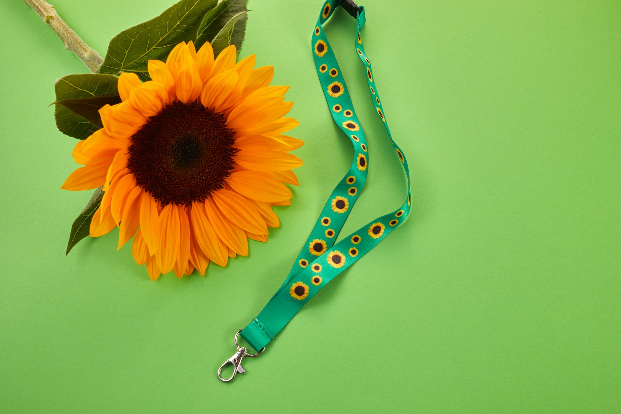 sunflower and sunflower lanyard on green background