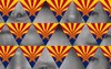 Behind Arizona's Stonewall Democrats Is a Man With Years of Controversy