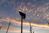 As Local Governments Rethink Surveillance Tech, Advocates Worry About Where It’s Still Used