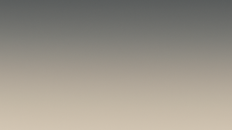 Minimalist vertical gradient from soft off-white into deep charcoal gray, reflecting the tension between truth, perception, and leadership responsibility.