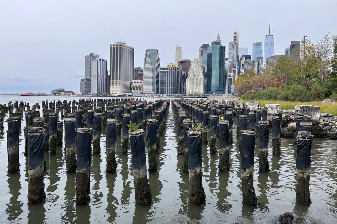 Cybertraps for Educators: Digest #2021-11-22