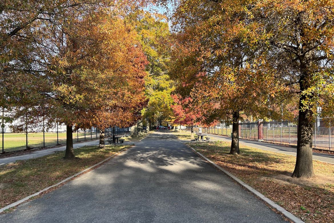 The Cybertraps Podcast: Guide to Episodes 1 through 50