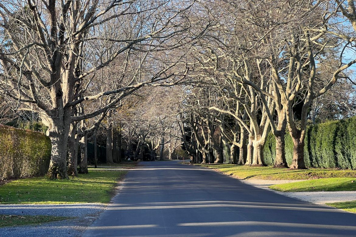 Cybertraps for Educators: Digest #2021-12-20