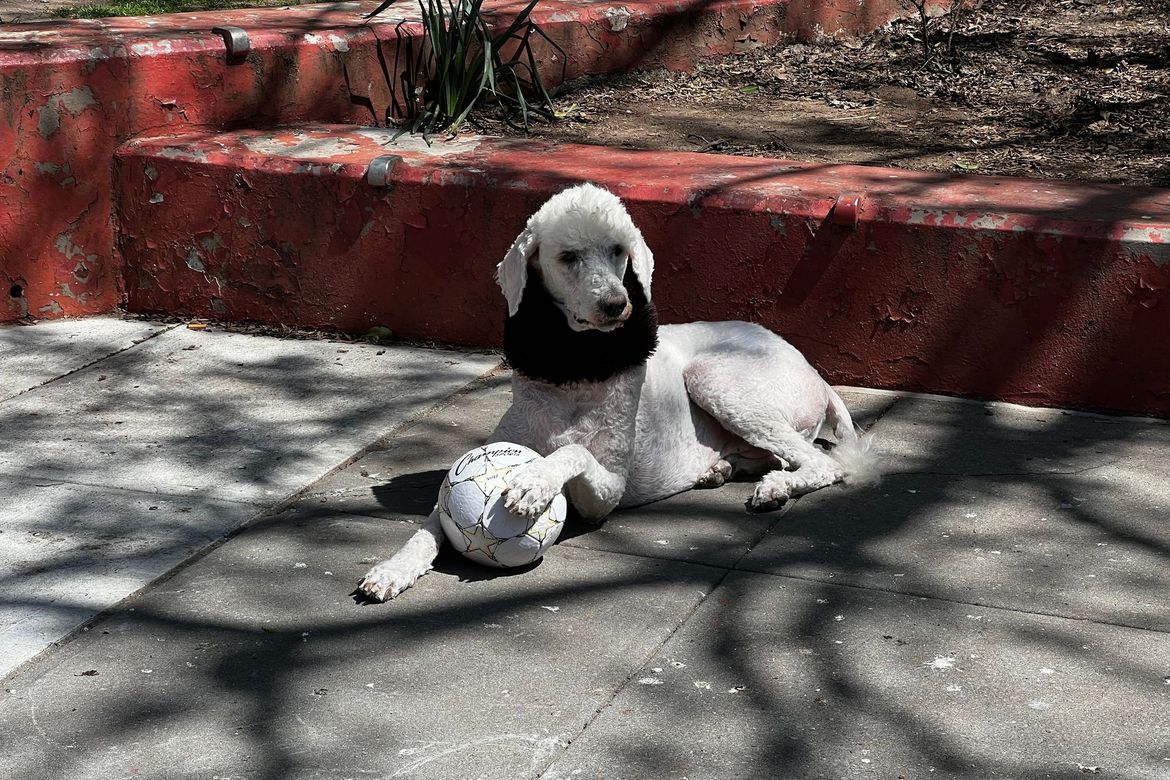 TCP Episode 123 -- The Metaverse: Virtual World, Real Dangers