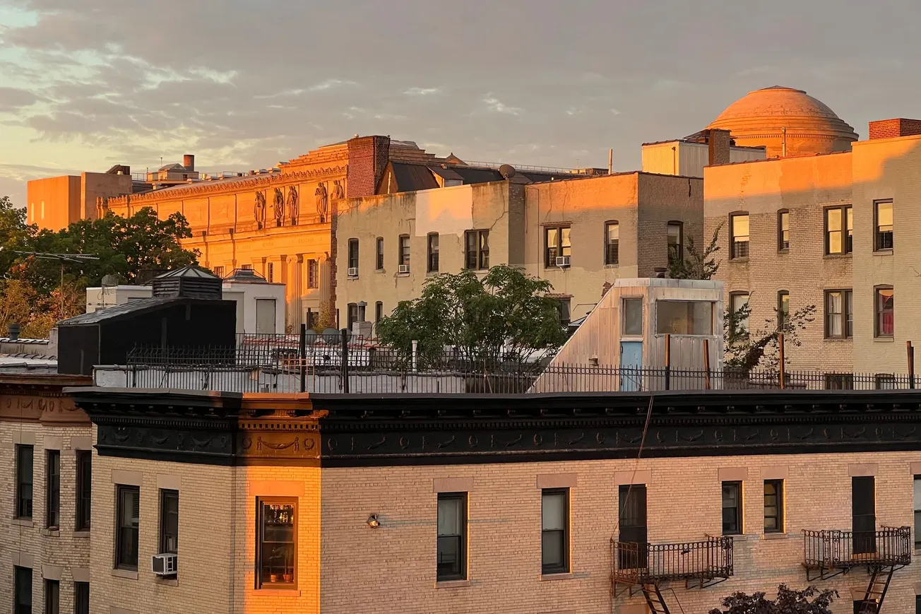 Photo of Morning Light, Crown Heights, Brooklyn, NY (2021) [Frederick Lane]