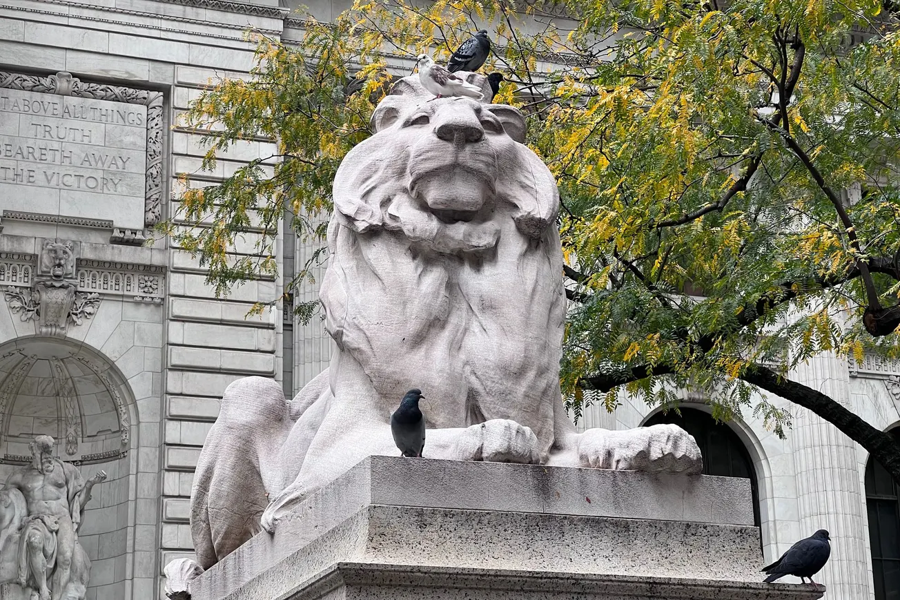 “Fortitude,” New York Public Library, Manhattan, NY (2021) [Frederick Lane]