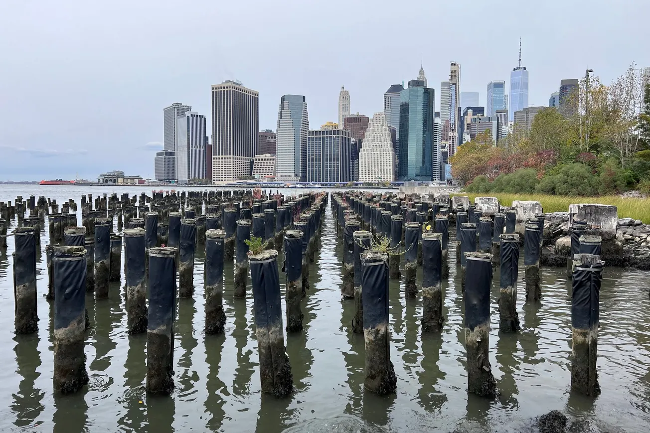 Picture of Old Pier 1 and Lower Manhattan, Brooklyn Bridge Park, Brooklyn, NY (2021) [Frederick Lane]