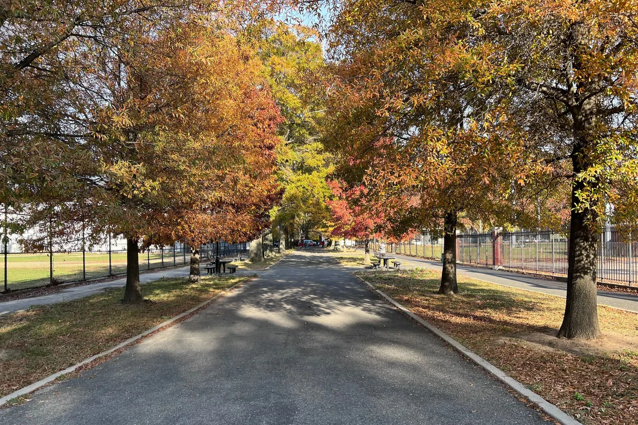 Photo of Fall Colors, Parade Ground, Brooklyn, NY (2021) [Frederick Lane]