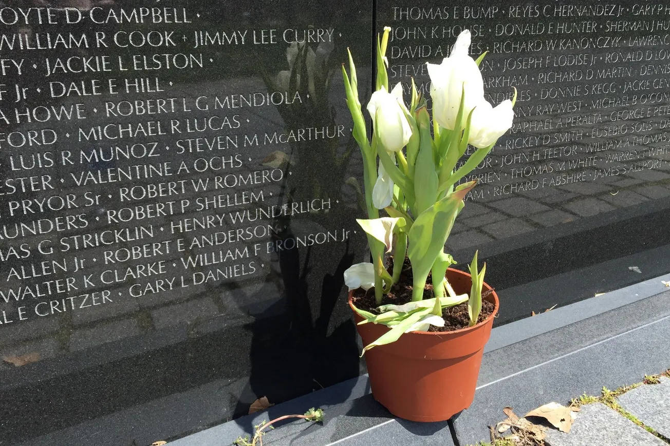 Flowers at the Vietnam Memorial, Washington, DC (2015)