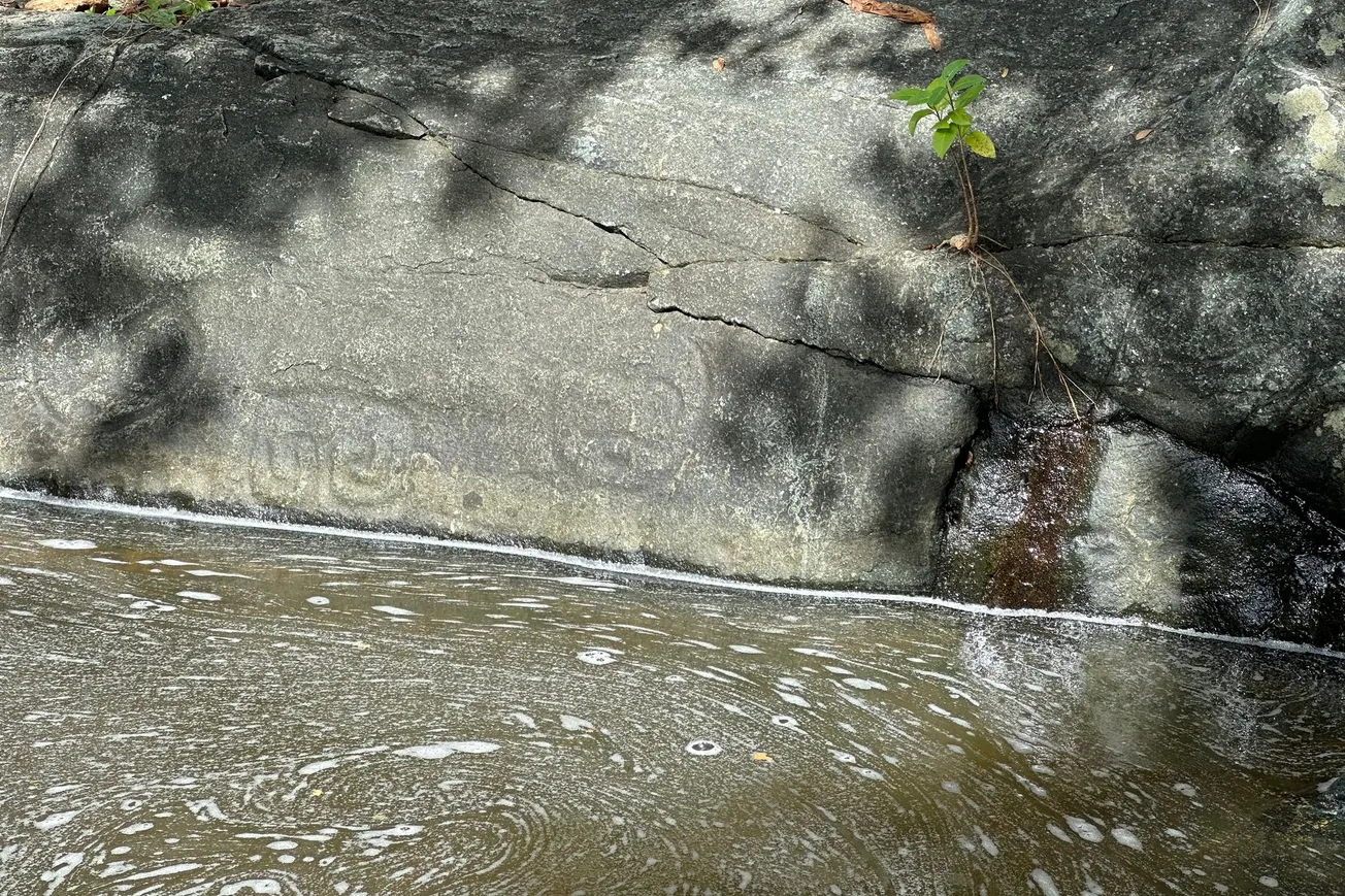 Petroglyphs of the Taino (circa 1000 CE), Reef Bay, St. John, USVI [Frederick Lane, 2023]