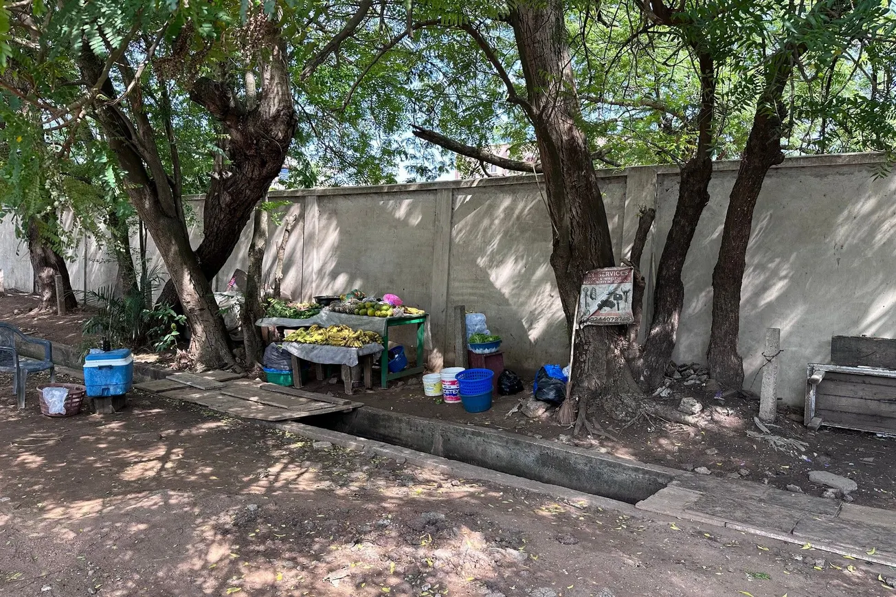 Roadside Fruit Stand, Accra, Ghana [Frederick Lane]