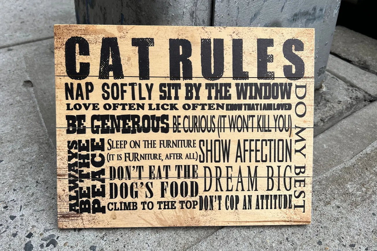 "Cat Rules" Sign, Brooklyn, NY [Frederick Lane, 2022]