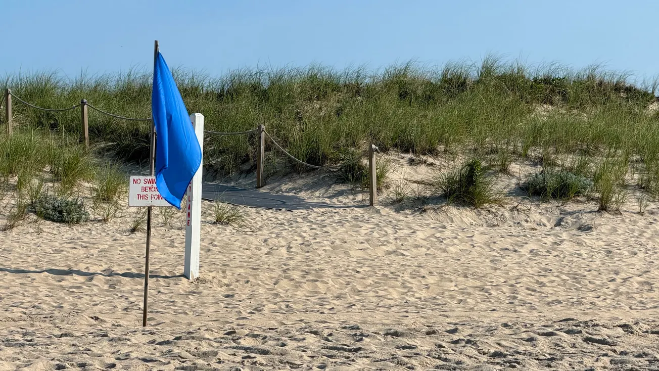 Photo of safety flag, Indian Wells Beach, Amagansett, NY [Frederick Lane, 2026]