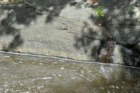 Cybertraps for Educators Digest